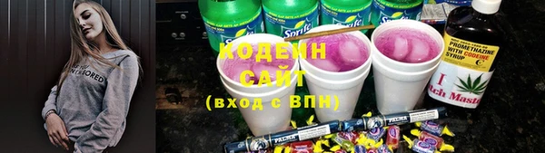 индика Пересвет