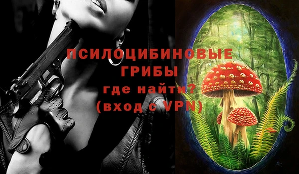 спайс Переславль-Залесский